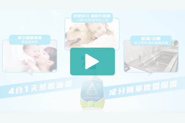 影像剪輯動畫